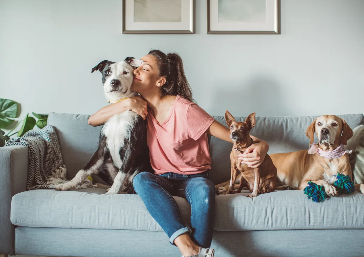 A woman hugging a black and white dog on the sofa, with two more dogs beside her